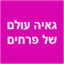 B144 Logo - Link to main page